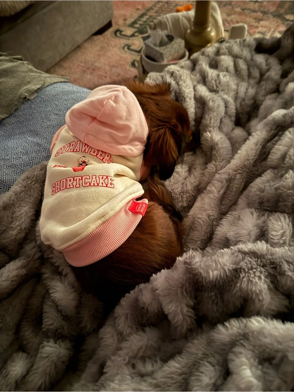 Strawberry Shortcake Cream & Pink Dog Hoodie